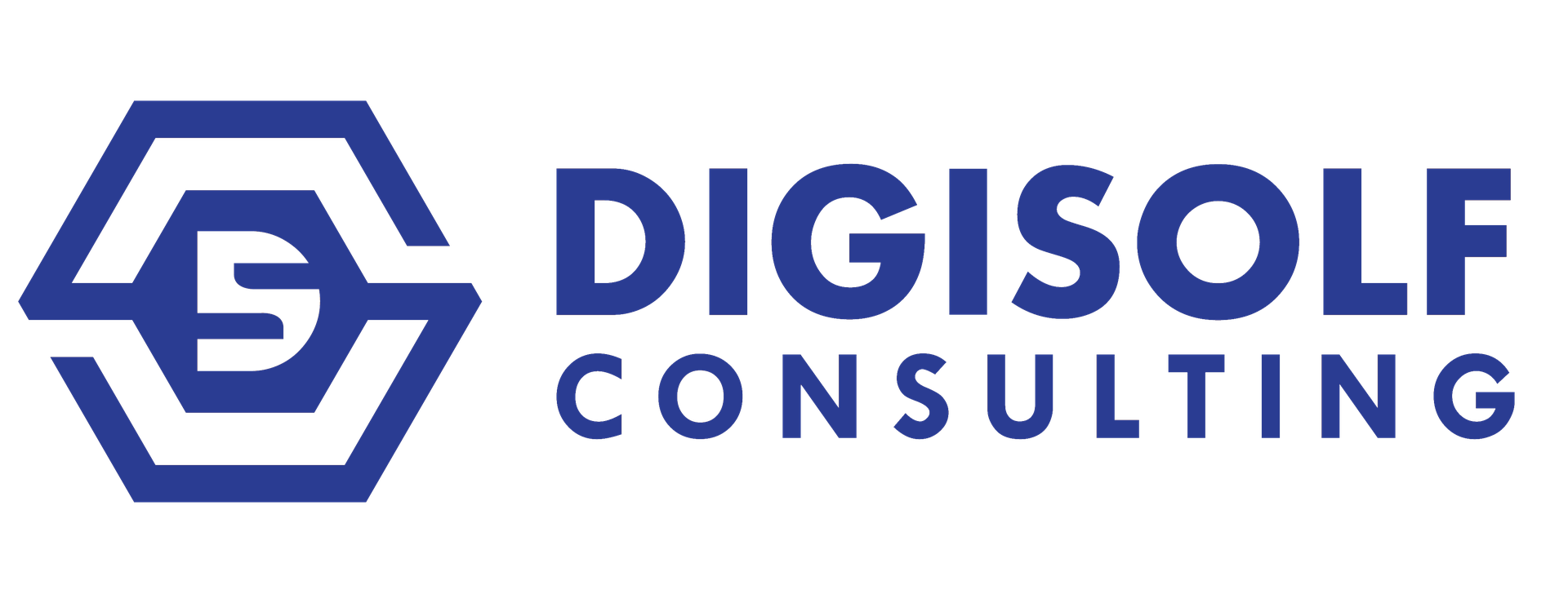 CV. Digisolf Technology Consulting