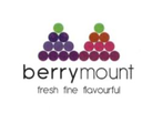 Berry Mount Vegetables And Fruit Trading LLC.