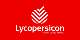 Bv Lycopersicon