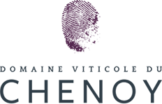 Domaine Viticole du Chenoy SRL