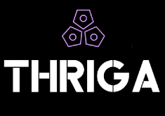 THRIGA CONSULTANCY PLC