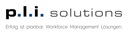 p.l.i. solutions GmbH