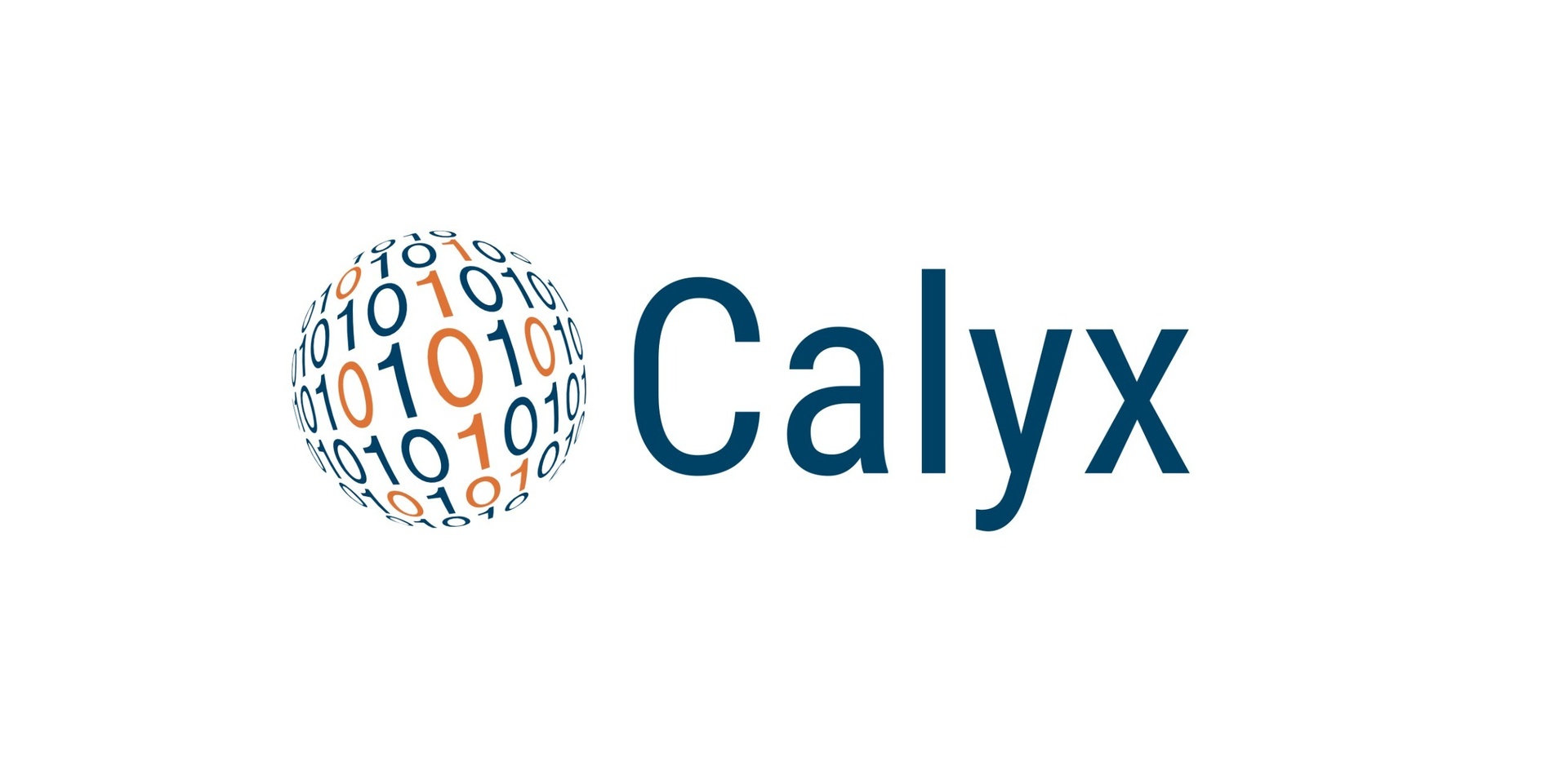 Calyx Servicios SA