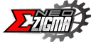 NEO ZIGMA CYCLE CORPORATION