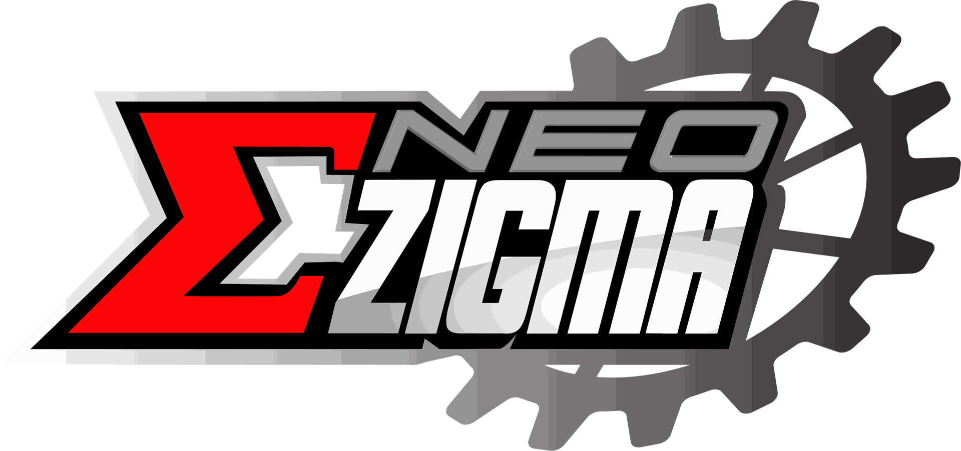 NEO ZIGMA CYCLE CORPORATION