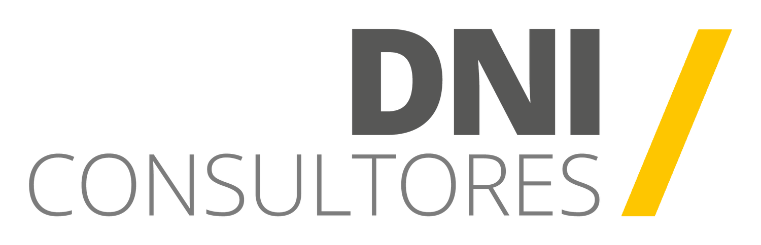 DNI CONSULTORES, LDA