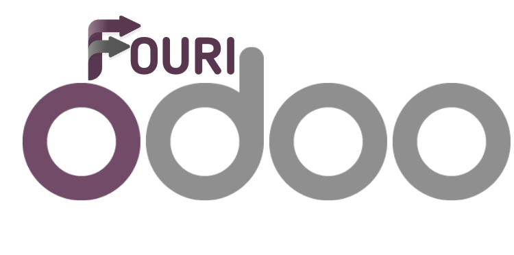 مؤسسة الحلول الفورية لتقنية المعلومات