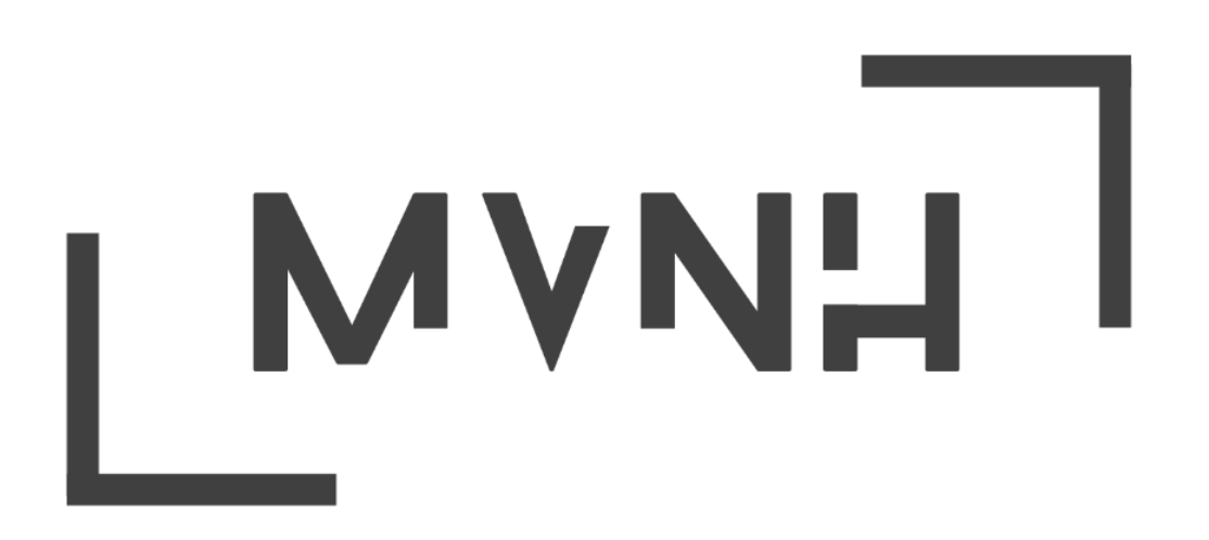 mvnh, Matthieu Vanheer