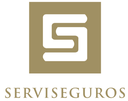 INTERCYBER S.A., Serviseguros SA