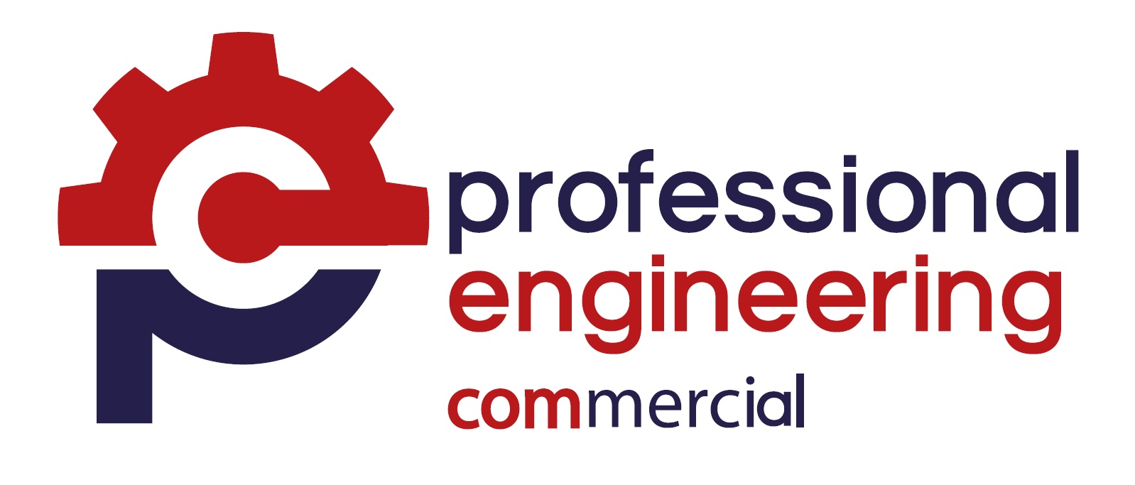 PROFESSIONAL ENGINEERING Company Ltd