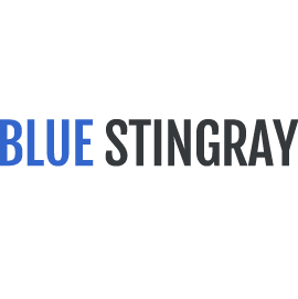 Blue Stingray Digital Agency 