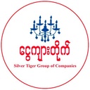 SILVER TIGER GROUP COMPANY LIMITED
