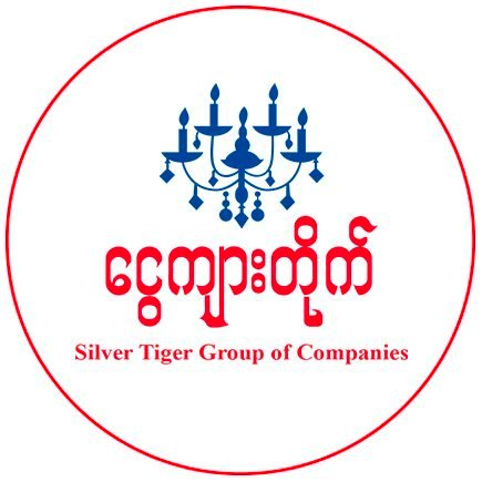 SILVER TIGER GROUP COMPANY LIMITED