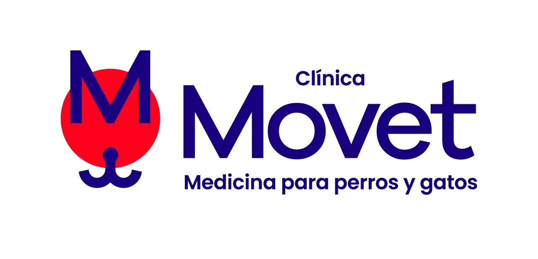 Movet SAS
