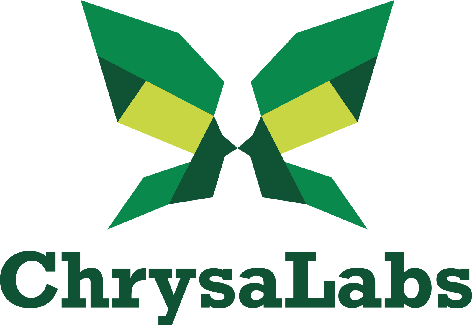 ChrysaLabs, Felix Groleau