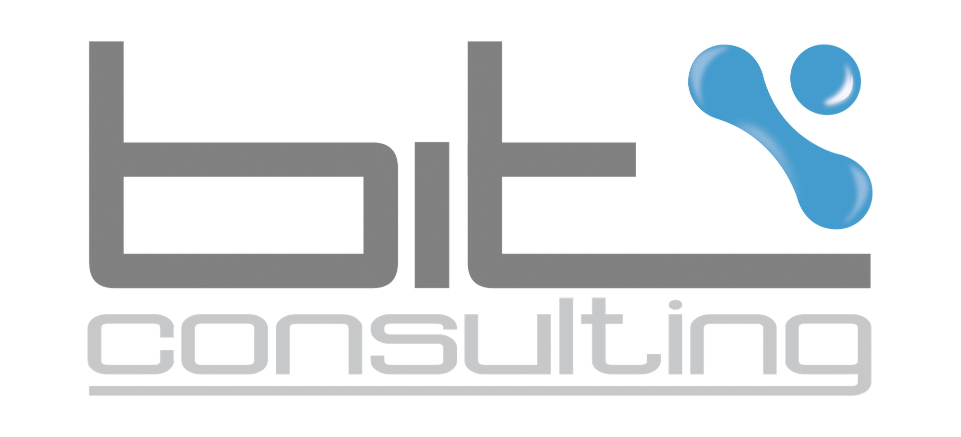 BIT Consulting 2013 C.A.