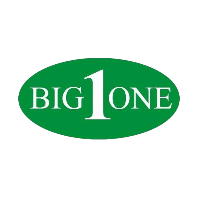 Big One Inter Plast Co., Ltd.