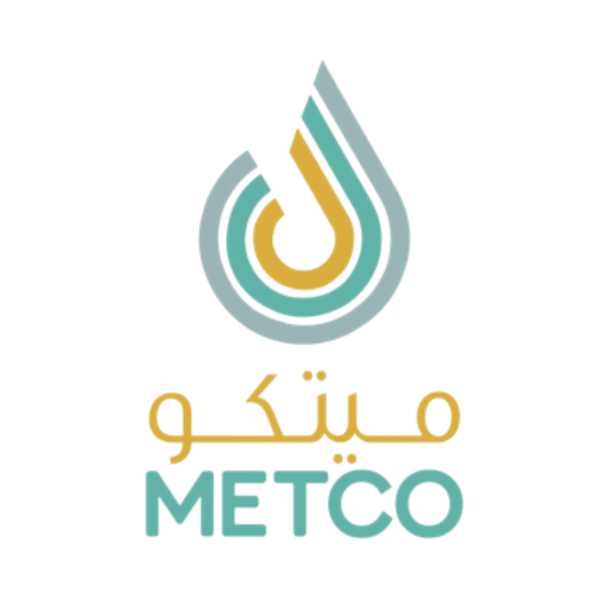 Middle East Technical Services