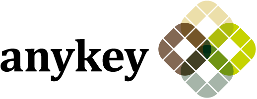 anykey IT AG