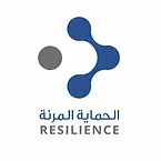 Company al-Himayah al-Marinah For Communications and Information, Resilience
