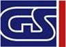 Global Surveys LLC