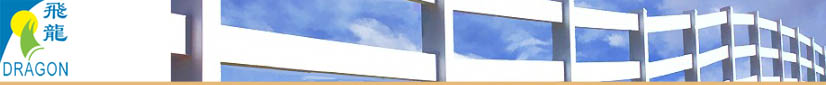 Dragon windows