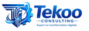 Tekoo Consulting