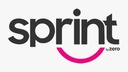 Sprint Delivery