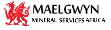 Maelgwyn Mineral Services Africa (PTY) LTD