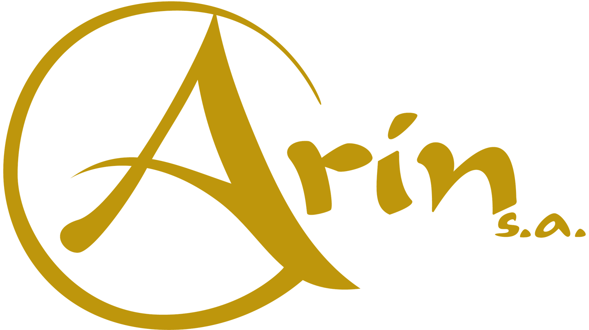 Arin S.A.