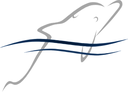 RDMS Soluciones Empresariales S.A. de C.V.