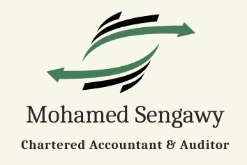 Mohamed Sengawy