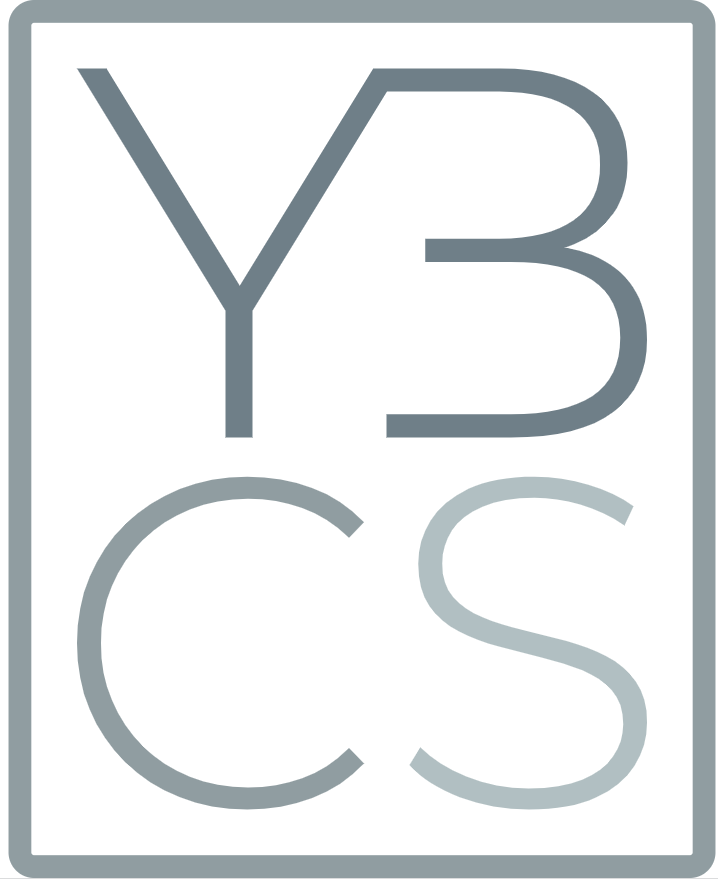 YB Conseils & Solutions Sàrl