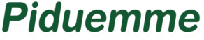 PIDUEMME S.R.L.