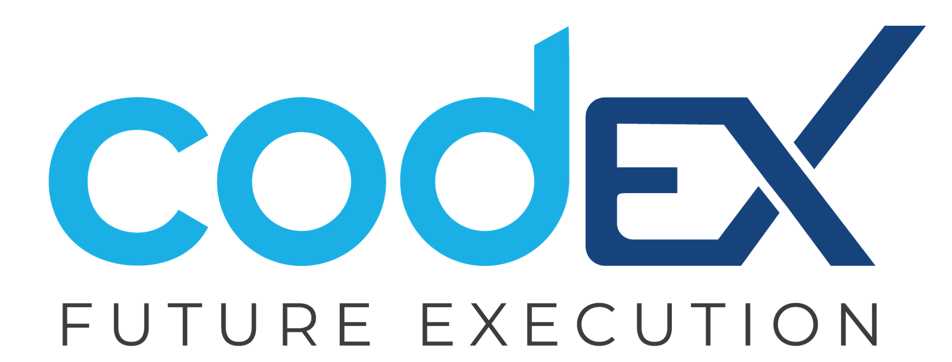 CODEX FOR INFORMATION TECHNOLOGY NETWORK SERVICES CO