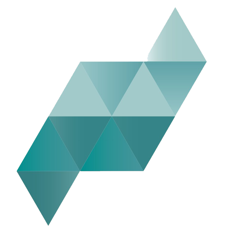 Neu Standard / Hammam Salama Chartered Accountants