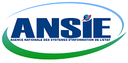 ANSIE (Agence Nationale des Systèmes d'Information de l'Etat)
