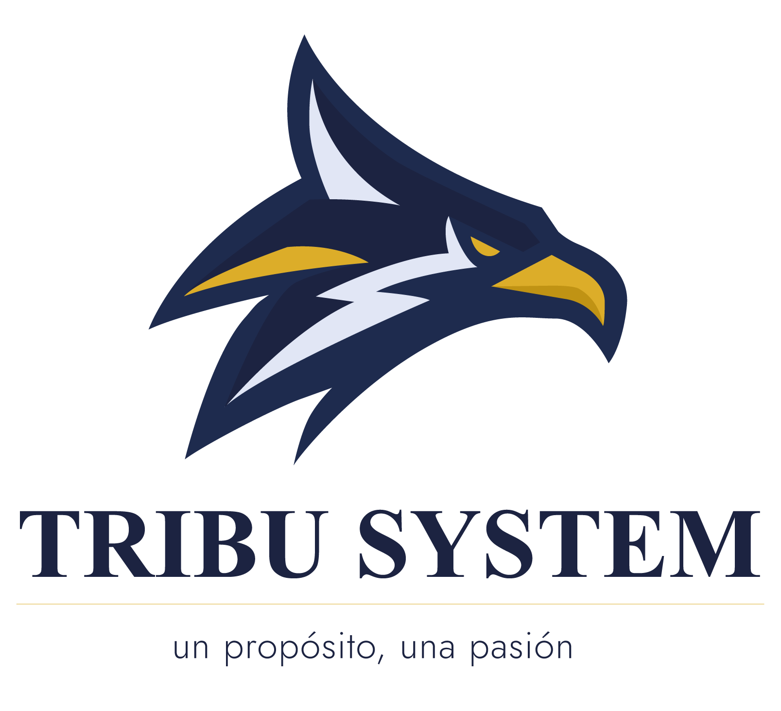 TRIBU SYSTEM INC