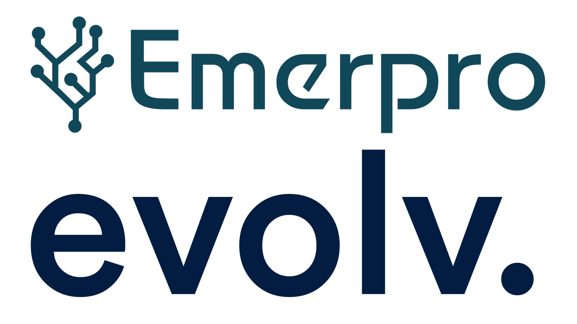 Emerpro IT Solutions