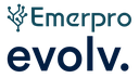 Emerpro IT Solutions