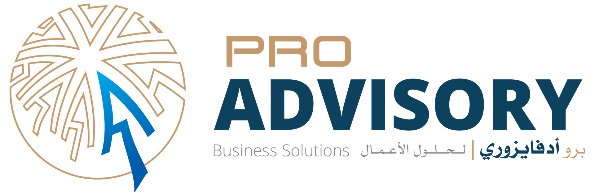 Pro Advisory Business Solutions