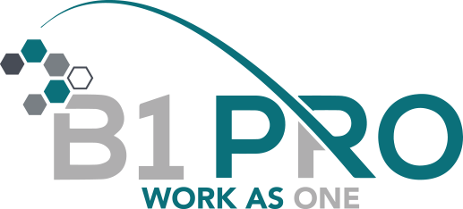 B1 PRO SOLUCIONES DE TI