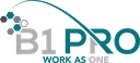 B1 PRO SOLUCIONES DE TI