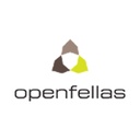 openfellas GmbH, Ronald Hanke