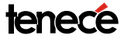 TENECE PROFESSIONAL SERVICES LIMITED