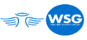 WELLNESS STRATEGY GROUP