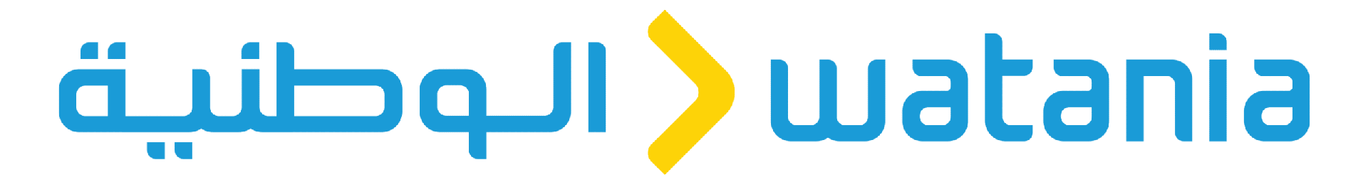 الشركة الوطنية لخدمات الموانئ والمطارات والشحن المحدودة (ذ.م.م.)، شركة محدودة المسؤولية