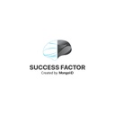Success Factor LLC