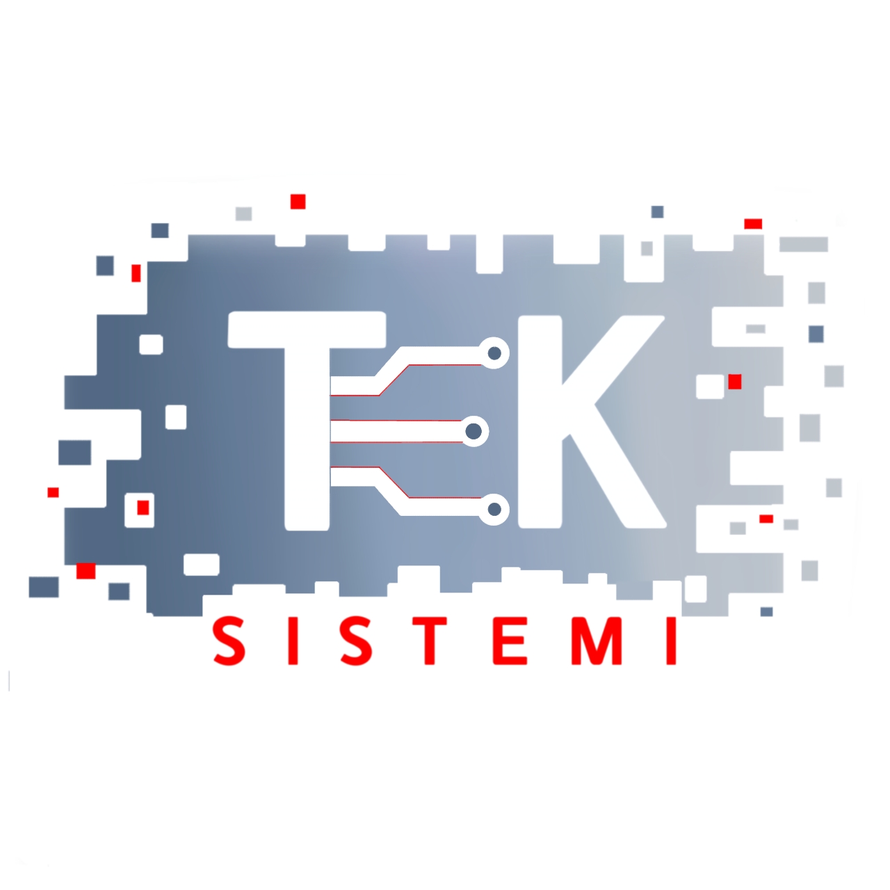 Teksistemi s.r.l.
