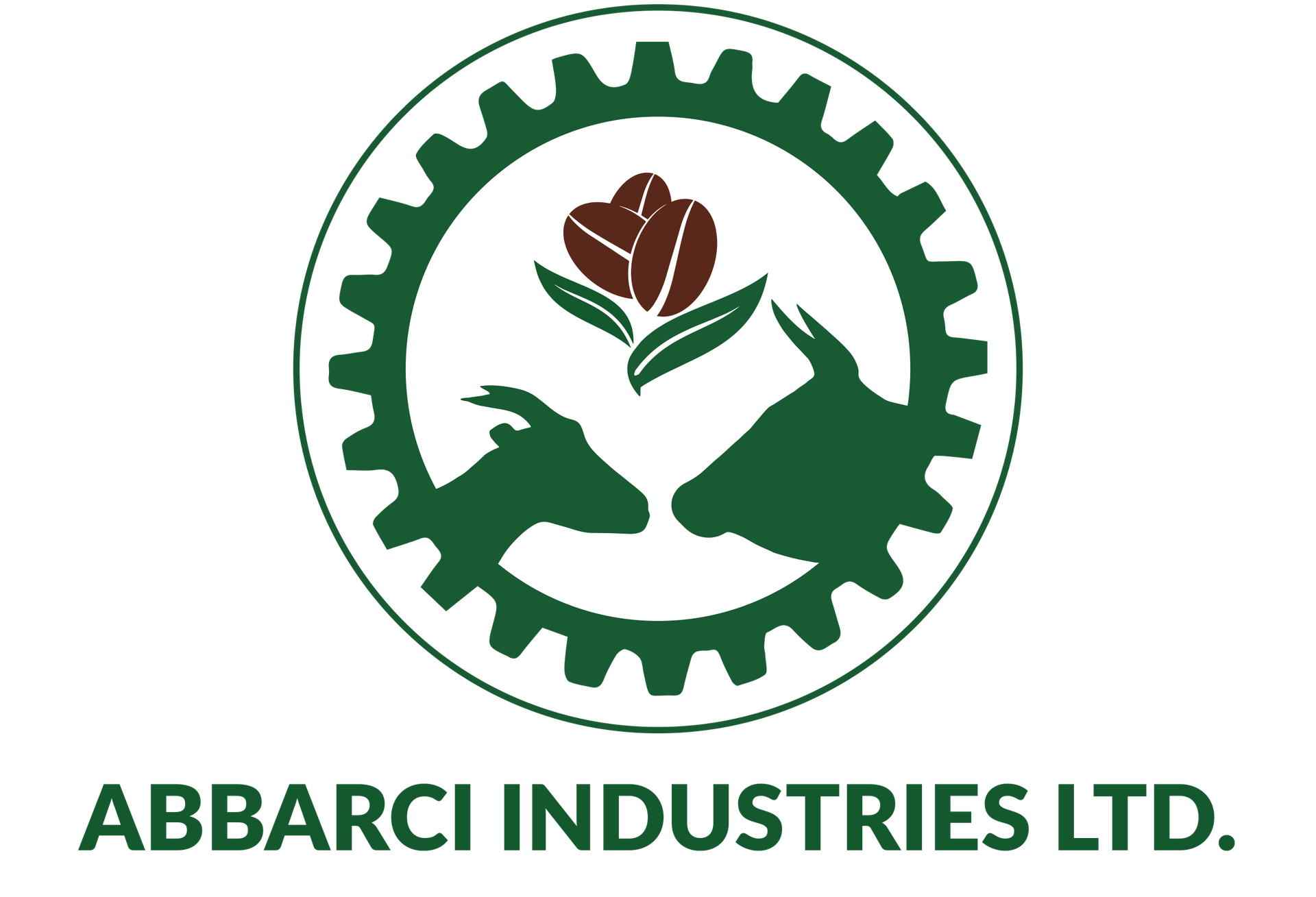 ABBARCI INDUSTRIES LIMITED